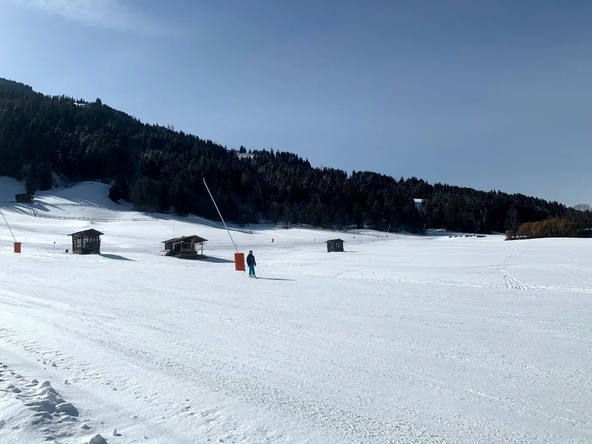 Wide, sunny ski slope with snow cannons and small wooden huts at the forest edge