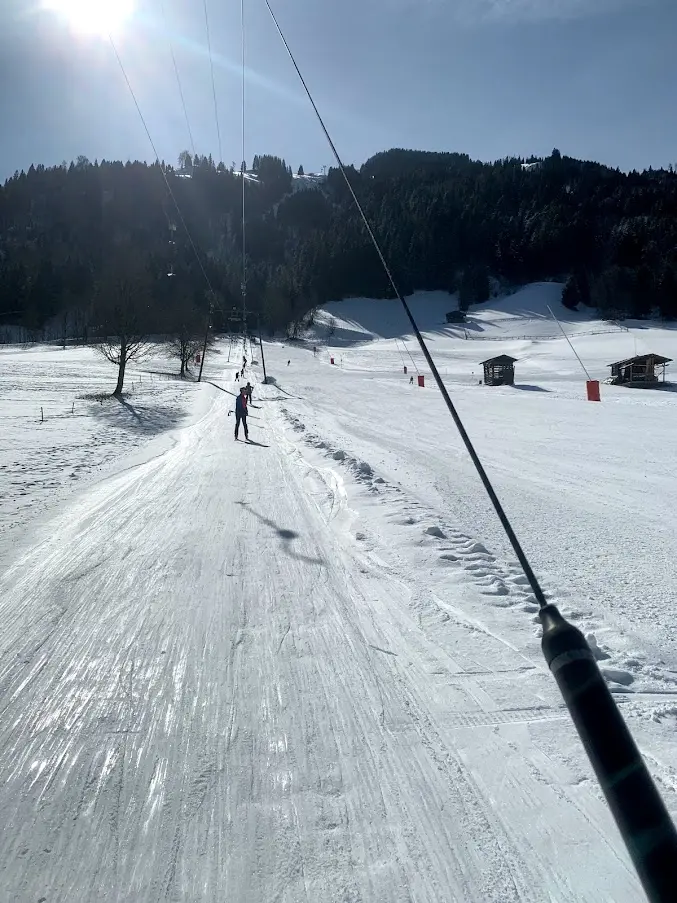 View from a drag lift over the slope and the wooded mountainside in backlight