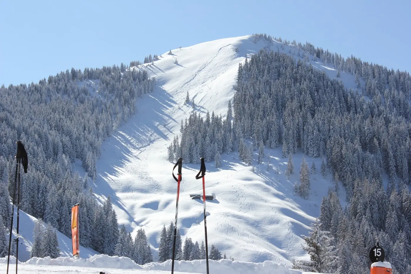 Snowy mountain with forest and ski tracks in powder snow, with ski poles and piste marker 15 in the foreground