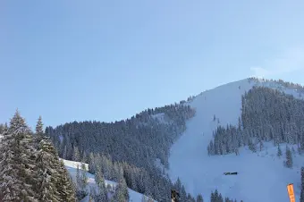 Snowy mountain slope with forest under a clear blue sky