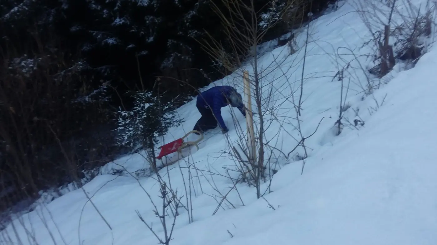 Child with a wooden sled on a snowy slope at the edge of the forest