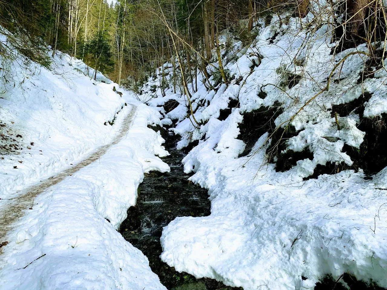 Winter walking path along a stream between snowy banks in the forest