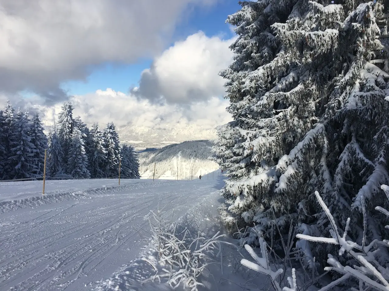 Slope between snow-laden spruce trees with a view over a mountain valley under clouds and a blue sky