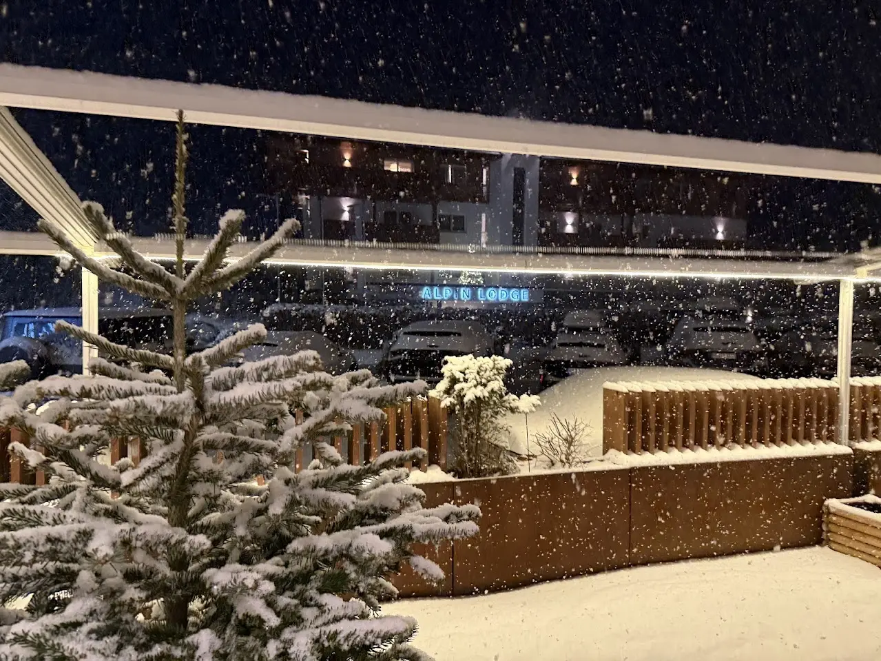 Heavy snowfall in the evening near a snow-covered little spruce and a lit façade with neon letters