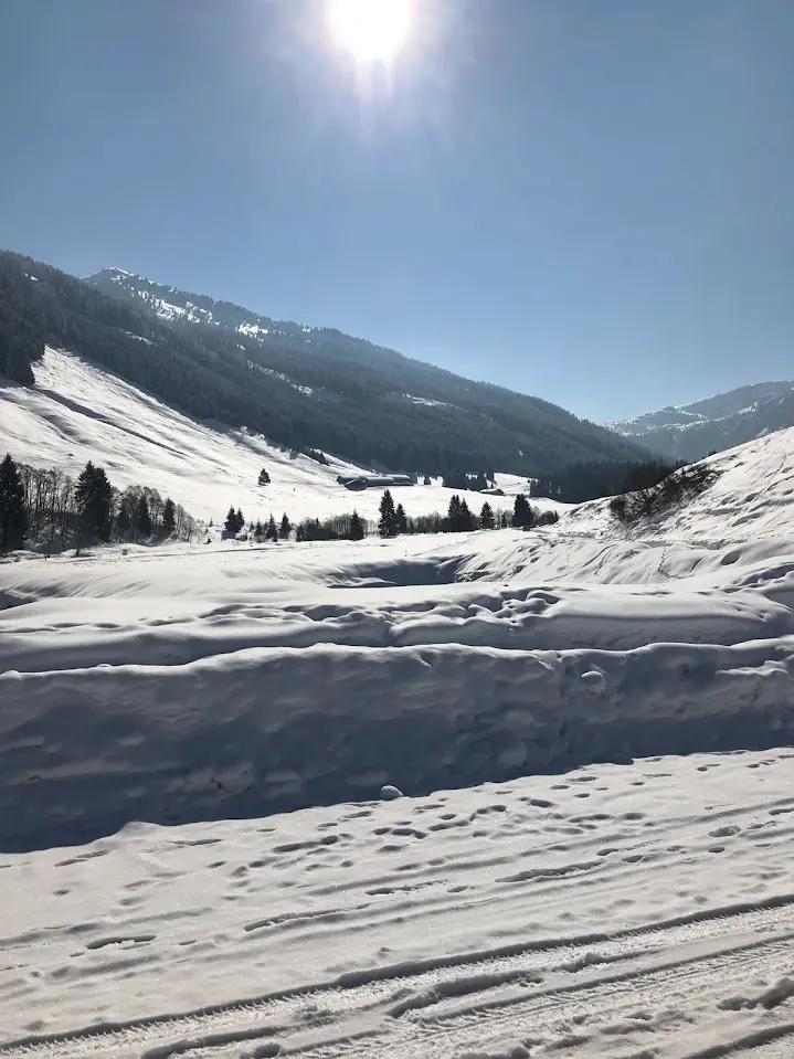 Snowy mountain landscape in the sun with a valley and wooded slopes