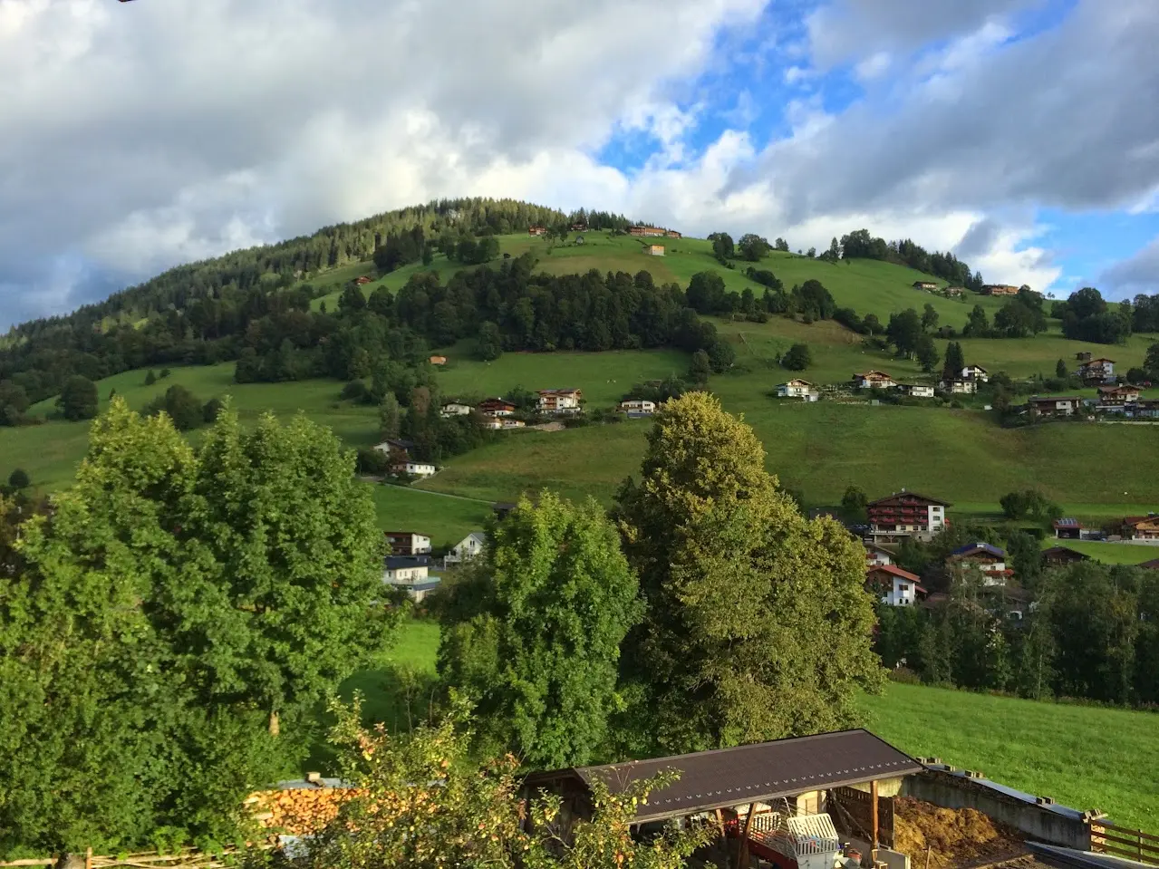 Green hill with scattered houses and a forest edge under clouds and a patch of blue sky, with trees in the foreground
