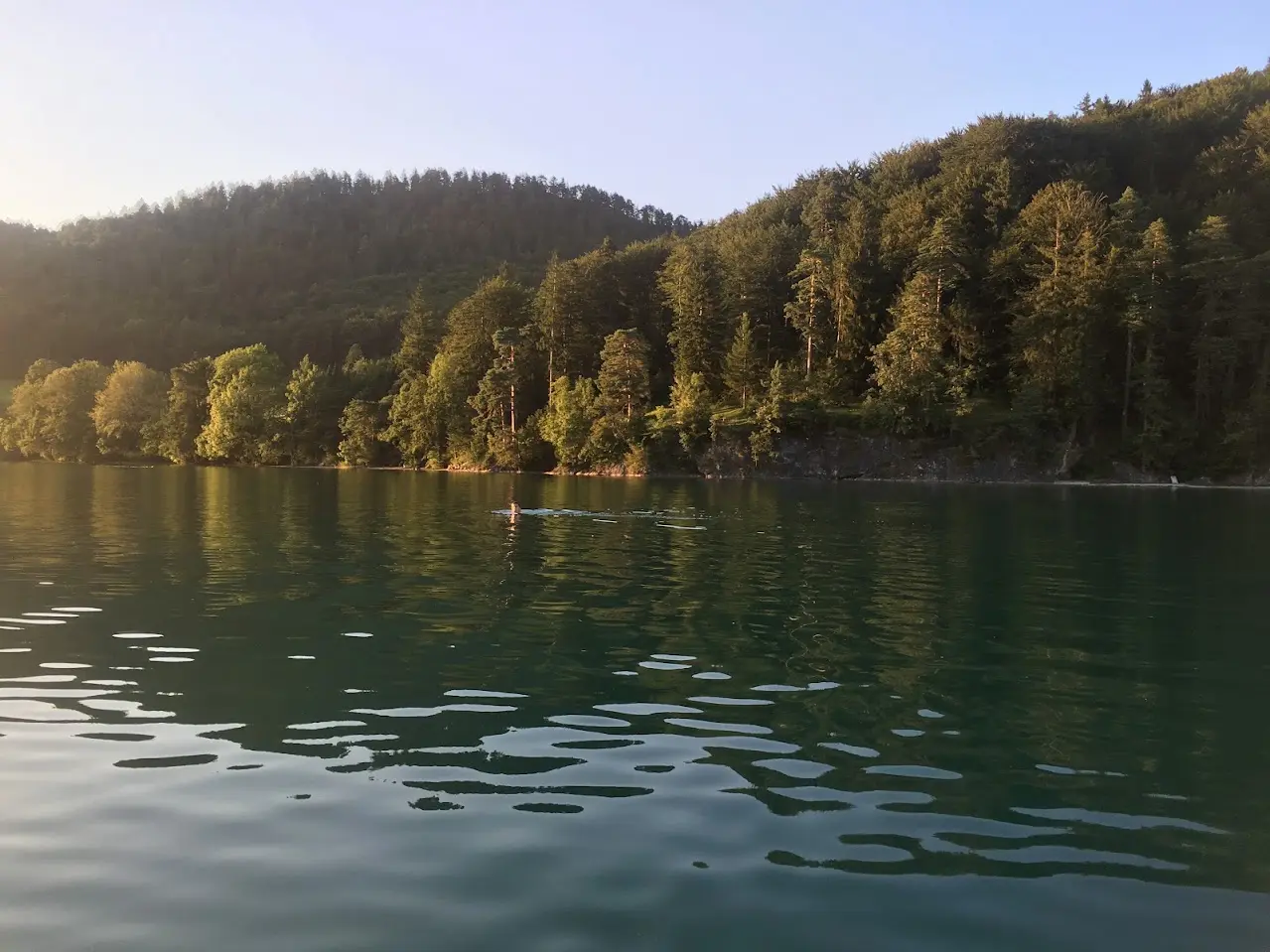 Swimmer in a calm mountain lake in the evening light, with a wooded shore and hills