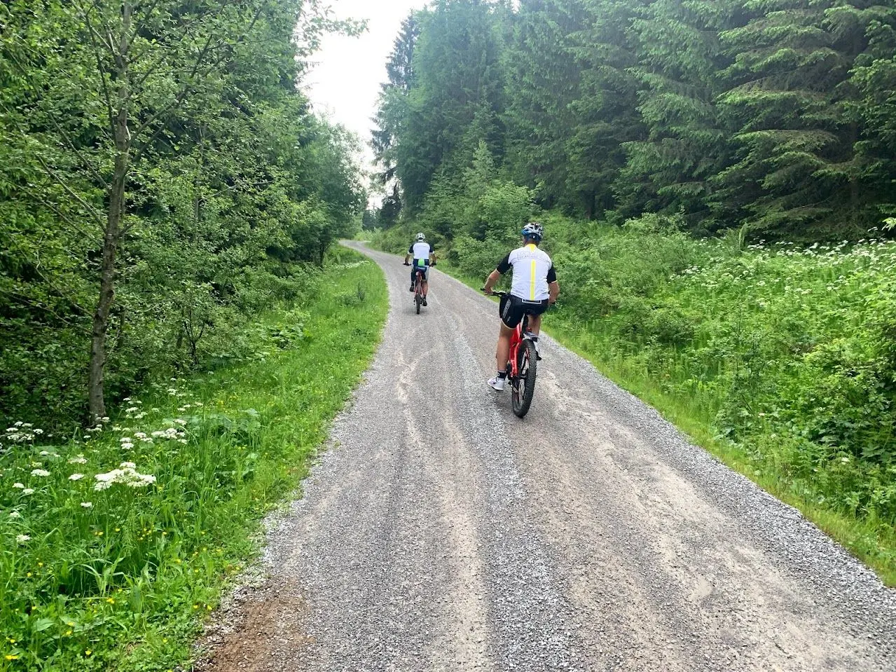 Two mountain bikers riding along a gravel road through the forest, with flowering verges
