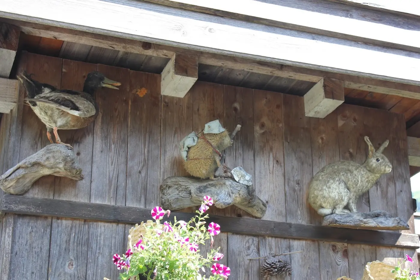 Wooden wall decorated with stuffed animals: a duck, a hedgehog in hiking gear and a hare, with blooming petunias below