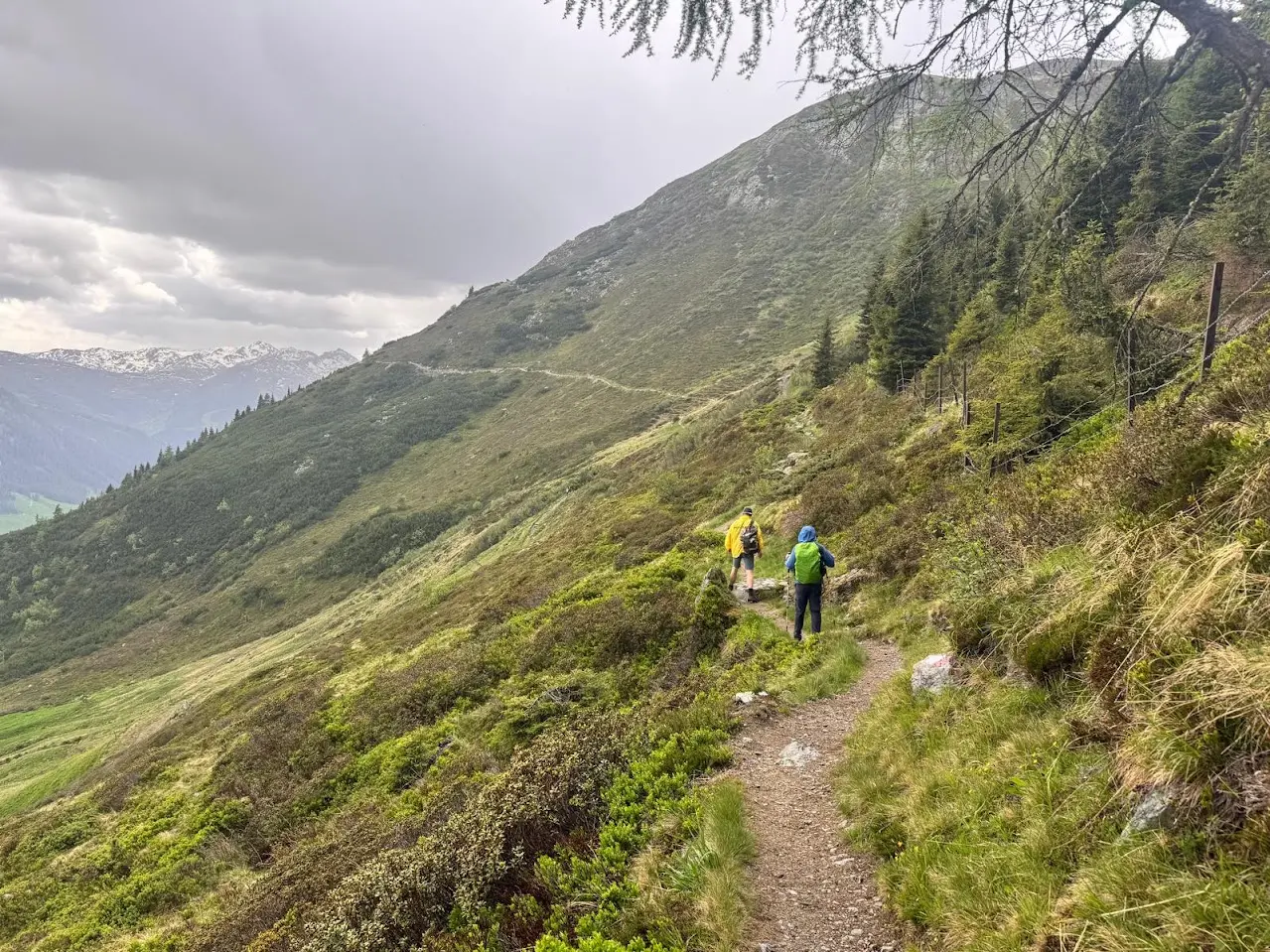 Two hikers in rain jackets on a narrow mountain path along a steep slope with heather and an overcast sky