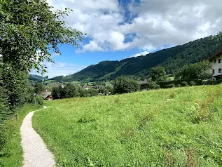 Narrow footpath along a grass meadow with a view of a wooded mountain and the houses of a village
