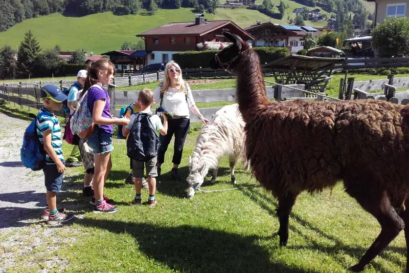 Gezin aait lama’s op een boerderij in de Wildschönau
