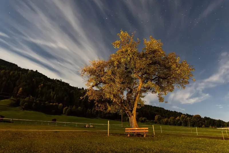 Herfstboom met bankje onder een sterrenhemel met lange wolkenslierten