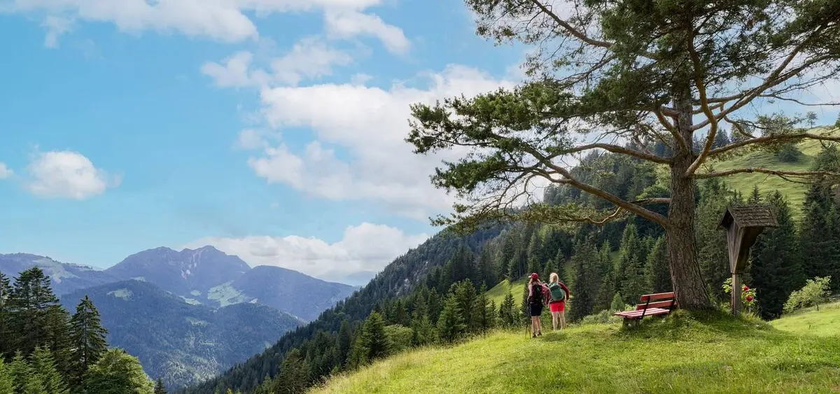 Wandelaars op een bergpad hoog boven de Wildschönau